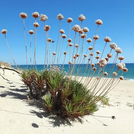 Apartamento Algarve Lux Fushi 203 Almancil